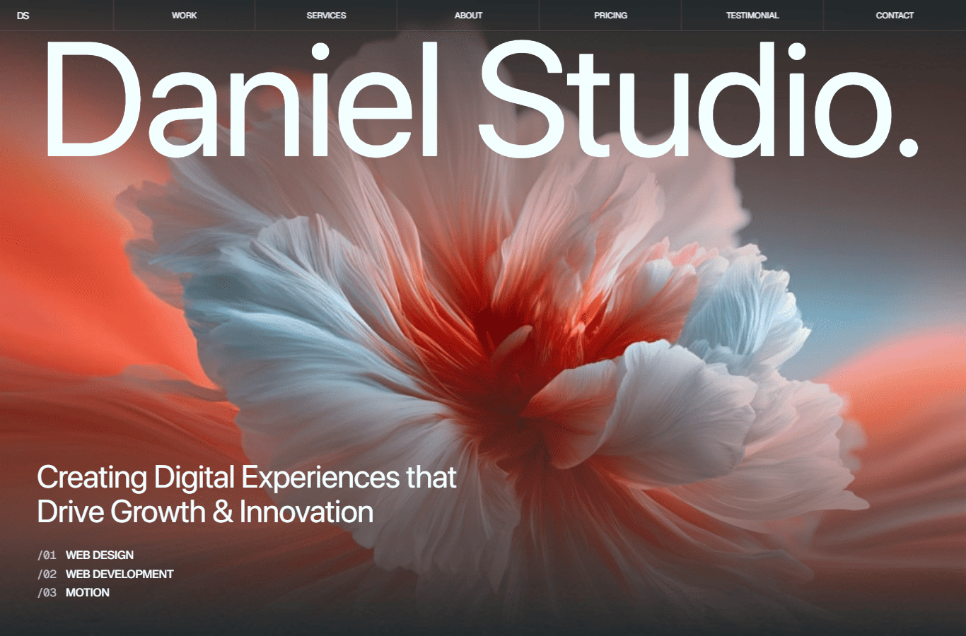 Portfolio Showcase